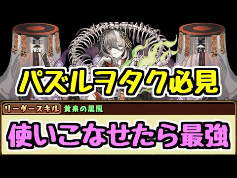 【パズドラ】とんでもないリーダーが現れました。