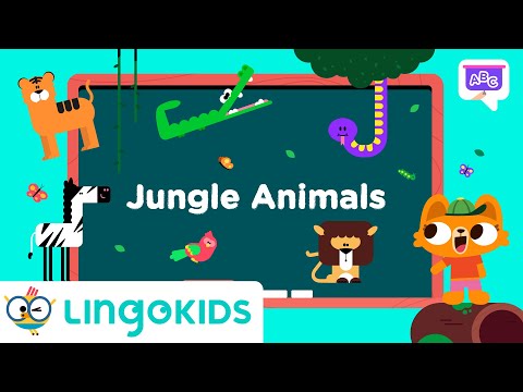 Learn about WILD ANIMALS 🐒🐅 | Vocabulary for Kids | Lingokids