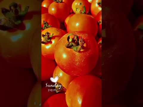 pirit ke badhna ❤️✨# short video # viral #trending # vlogan chhori # cg song # love song