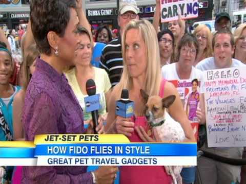 Jet-Set Pets - Becky Worley, Good Morning America - YouTube