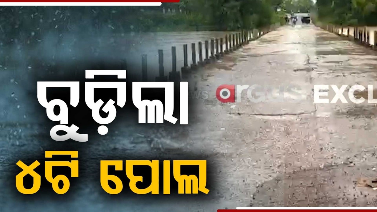 Rain Havoc In Malkangiri: 4 Bridges Submerged, NH-326 Cut Off As Water Rises | Argus News