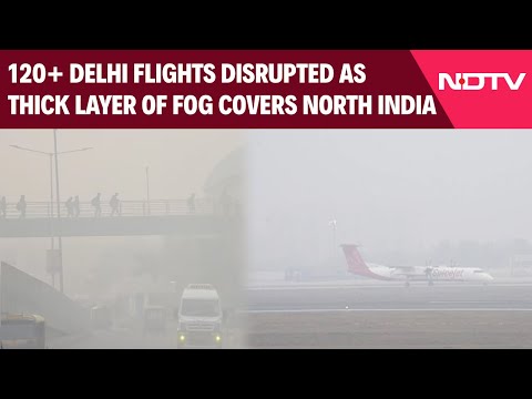 Fog Across North India | 120+ Delhi Flights Disrupted As Thick Layer Of Fog Covers North India