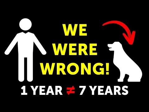 1 „кучешка“ година е 7 „човечки“ - 14 митови за кучињата во кои не треба да верувате