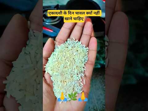 एकादशी के दिन चावल क्यों नहीं खाते#YouTube status#YouTube short#viral video#trending#Ekadashi#gyaras