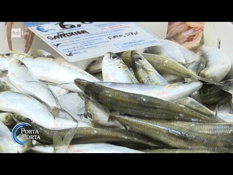 Scegliere il pesce in modo consapevole - Porta a porta 20/03/2024