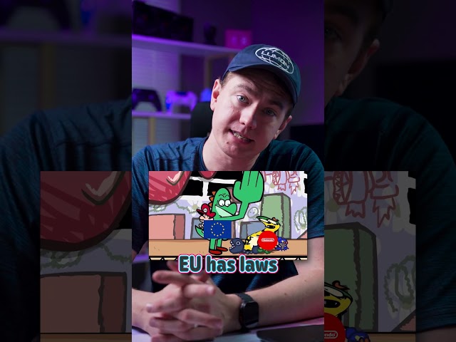 Nintendo EU EULA