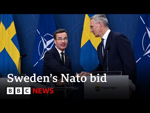 Turkey to decide on Sweden's Nato bid 'within weeks' | BBC News