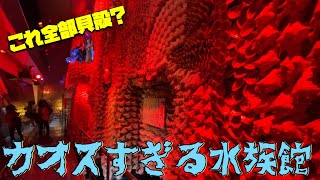 貝殻が5500万個？！愛知県で初めてカオスすぎる博物館を見つけてきました【一人旅】