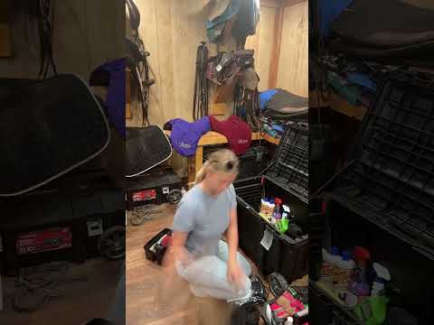 With the changing of the seasons, a tack room refresh was much needed! 🙌#tackroom #reorganize