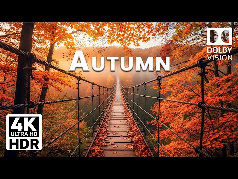 Autumn in 4K UHD 🍁 Stunning Fall Colors Around the World | Scenic Relaxation Film