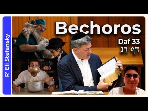Daf Yomi Bechoros Daf 33 by R' Eli Stefansky