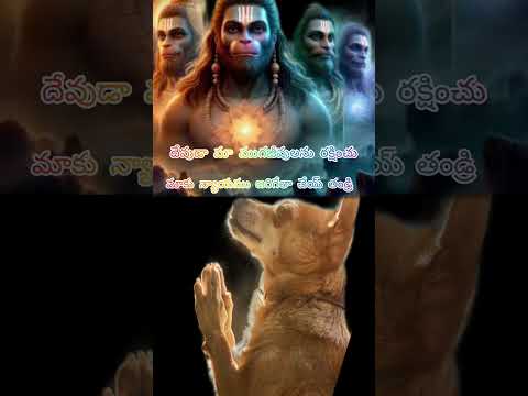 savedogs#streetdogs#dogreels#doglife#savestreetdogs#animals#doglovers#delhistreetdogs#justice#viral