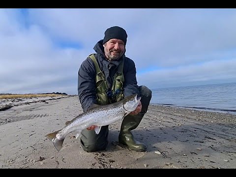 Fjellerup Fiskepladser - Djursland