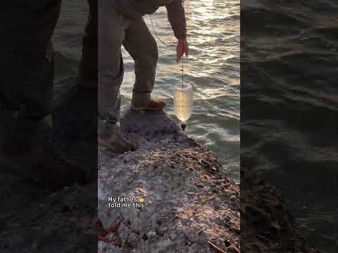 Wow! Smart Tool to Get Water from High Places
