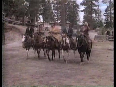 Bonanza: The Next Generation'