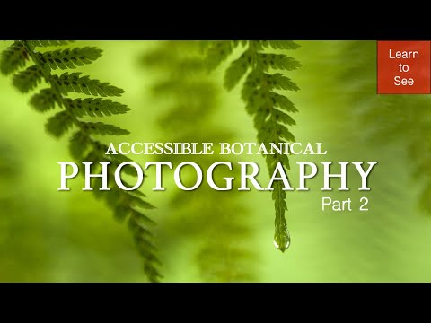 Part 2: Accessible Botanical Photography
