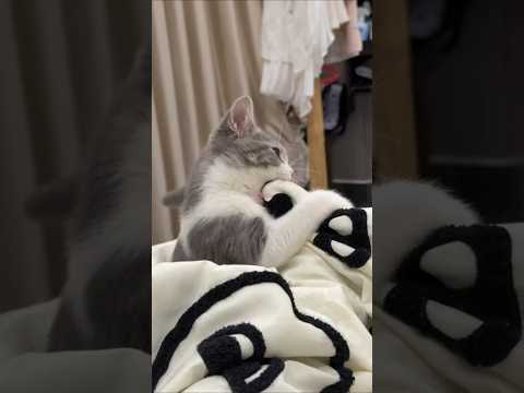 Performance 💞💞 #shorts #shortsfeed #trendingshorts #performance