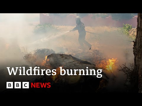 Greece fires: Thousands forced to flee 'disaster film' wildfires - BBC News