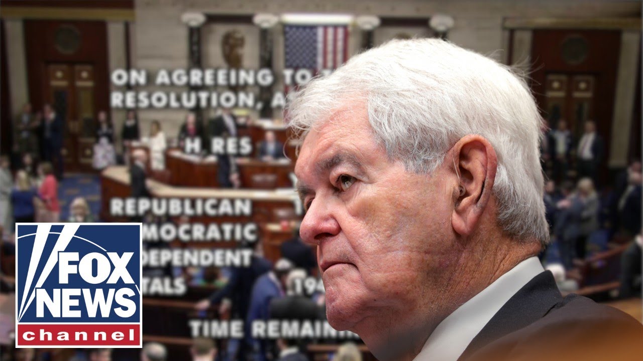 ‘This would be SUICIDAL’: Newt Gingrich warns GOP reps