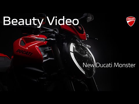 Here begins the next chapter of the Monster Legend. Here begins the next chapter of the Monster Legend.