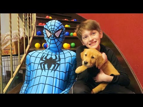 Spiderman to The Rescue In Real Life - Beaherokids