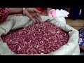 Congo faces bean shortage as farmers abandon eastern fields | REUTERS