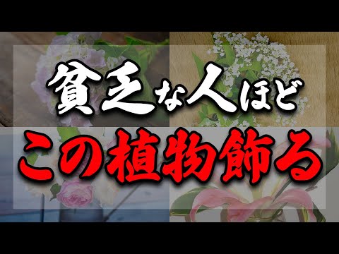 植物を家に飾っている人は絶対に見て！実はあなたの運気に悪影響を与えてしまっている植物についてお伝えします！