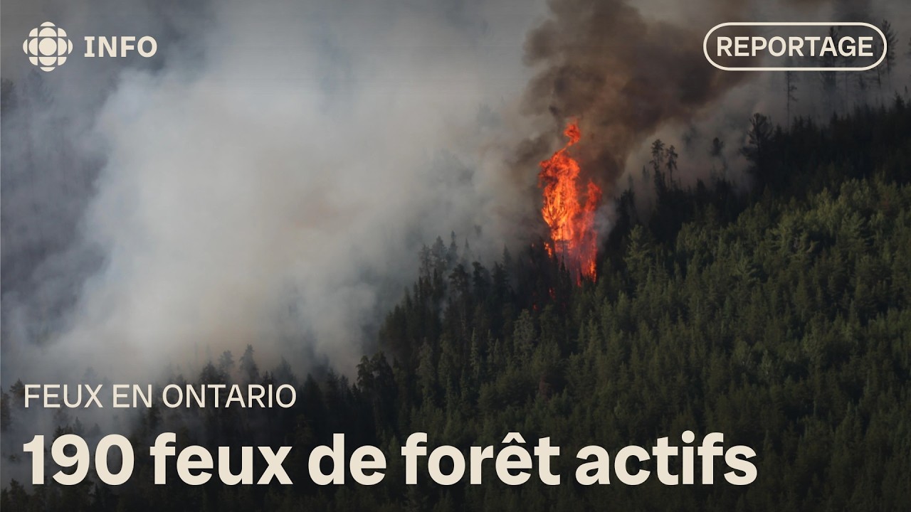Feux de forêt : Plus de 1800 personnes évacués en Ontario