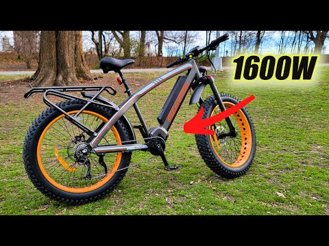 The Fastest Most Powerful Electric Bike We tested // Addmotor Wildtan M5600 Detailed review!