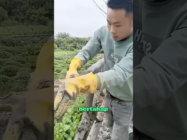 Tukang-tukang Di Cina Sangat Cerdik 😮