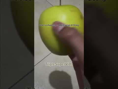 Found a Sugar apple #roblox #growagarden