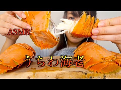 【ASMR】うちわ海老を食べる音