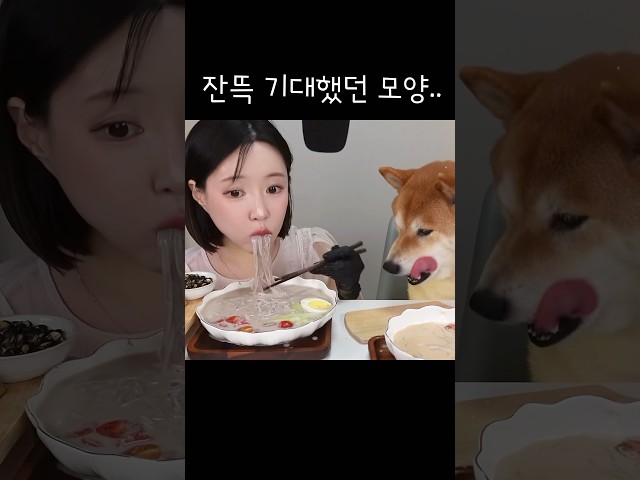 잔뜩 기대했던 모양…