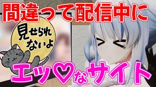 【兎田ぺこら】勘違いから配信中にエッなサイトを検索してしまったぺこーら【ホロライブ切り抜き】