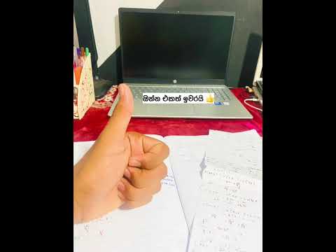 WORK HARD.STAY HUMBLE.WIN BIG #shorts #viralshorts