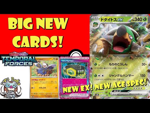 Pokemon TCG News