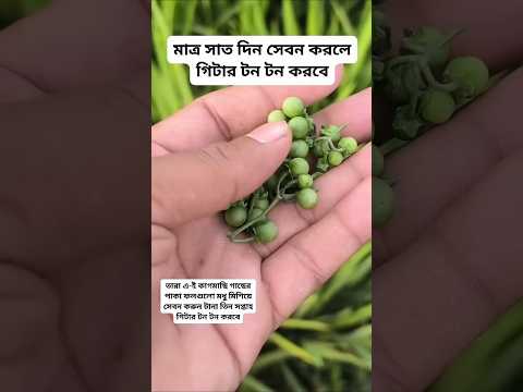 #plantsofindia #plants #shortvideo#gardenplants #garden การตอนมะละกอ โดยไม่ใช้ดิน ไม่ใช้ แกลบ.