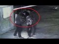 Security guard of Rohtak mall beaten to death with sticks, killers caught on CCTV