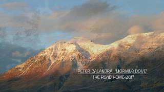 Peter Calandra - Morning Dove-Peter Calandra
