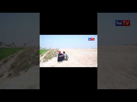 noor nazeer walk short funyy video