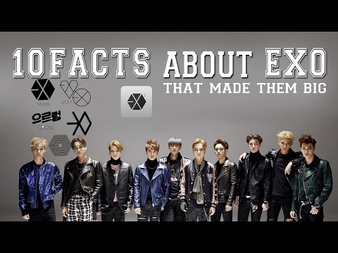 10 FACTS - EXO