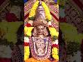 శివంపేట శ్రీ బగళాముఖీ అమ్మవారి ధ్యాన శ్లోకం 🙏🕉️ #shivampeta #bagalamukhi #kotideepotsavam #bhakthitv