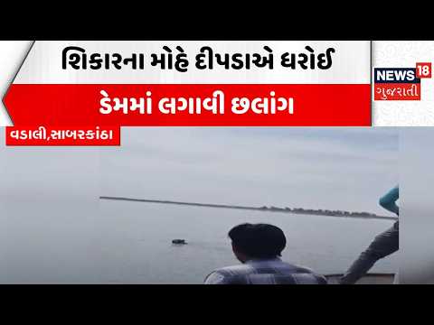Sabarkantha Leopard Attack | શિકારના મોહે દીપડાએ ધરોઈ ડેમમાં લગાવી છલાંગ | Dam | Dharoi | News