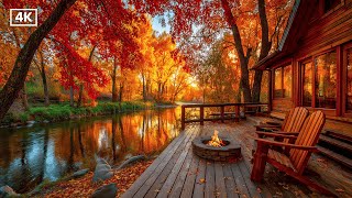 Fall Cabin by the River | Crackling Firepit & Peaceful Birdsong in the Woods