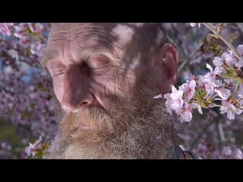 A Man Imagined'