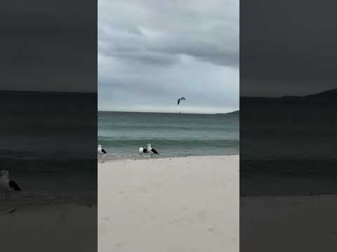 Sound healing in nature