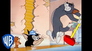Tom a Jerry - zajat Jerryho