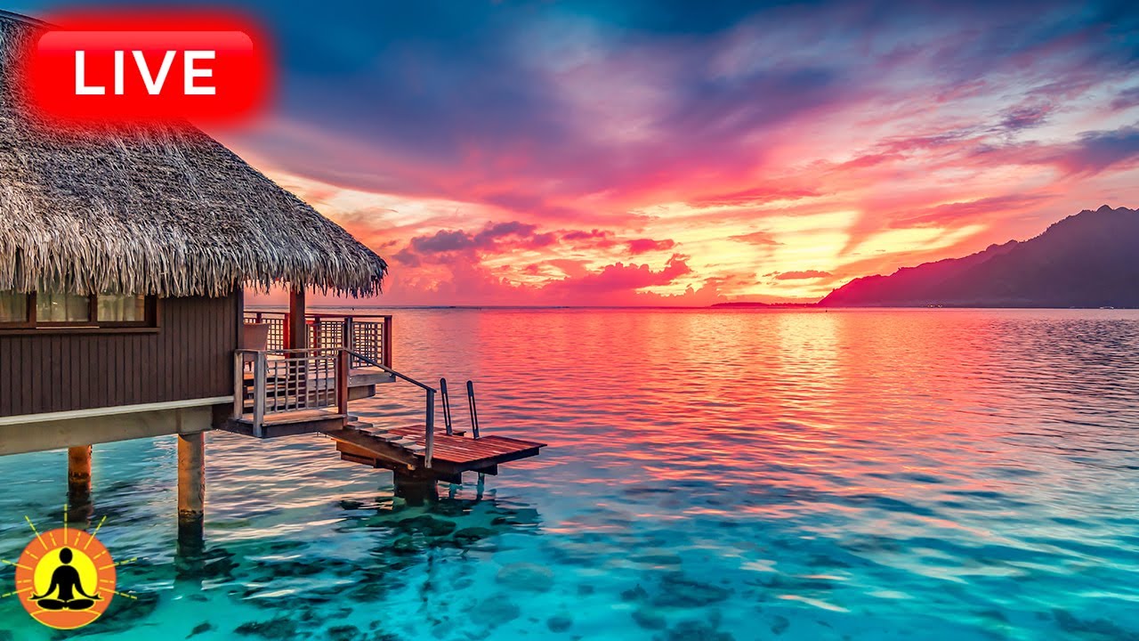 🔴 Relaxing Music 24/7, Stress Relief Music, Sleep Music, Meditation Music, Study, Calming Music