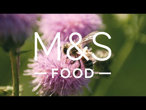 marksandspencer.com & Marks and Spencer Voucher Code video: Select Farms British Honey | Episode 2 | Fresh Market Update | M&S FOOD