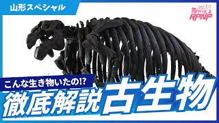 【古生物学】RPNP古生物学ニュース「夏休み特別編！山形で発掘してきました！重大発表も⁉」#恐竜 #化石 #解説